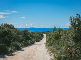 Holiday house Maslinica Environment 28