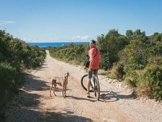 Maison de vacances Maslinica Environnement 29