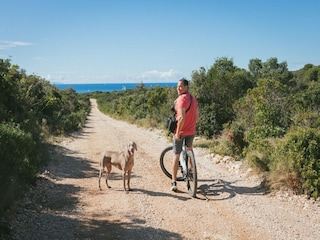 Vakantiehuis Maslinica Omgeving 29