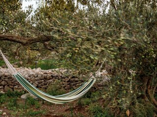 Maison de vacances Maslinica Environnement 30