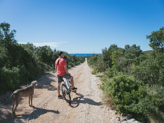 Holiday house Maslinica Environment 31