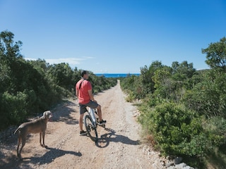 Vakantiehuis Maslinica Omgeving 31