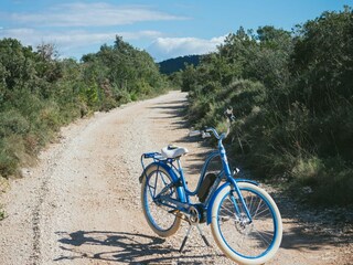 Maison de vacances Maslinica Environnement 37