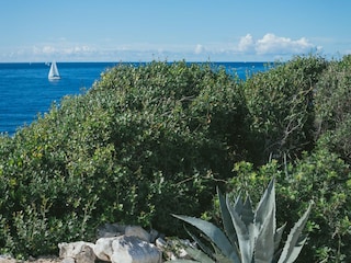 Ferienhaus Maslinica Umgebung 38