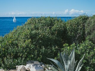 Vakantiehuis Maslinica Omgeving 38