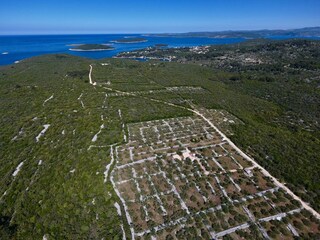 Ferienhaus Maslinica Umgebung 39