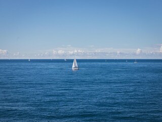Maison de vacances Maslinica Environnement 40