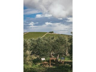 Apartamento Maslinica Grabación al aire libre 6