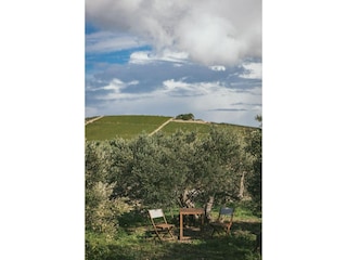 Appartement Maslinica Buitenaudio-opname 6
