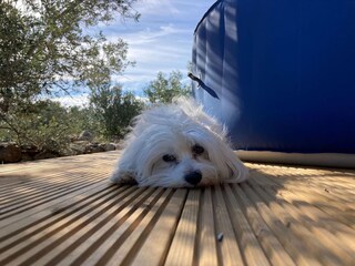 Casa de vacaciones Maslinica  27