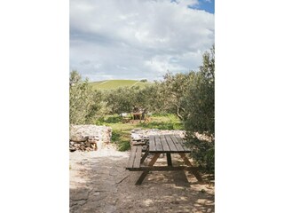 Holiday house Maslinica Outdoor Recording 7