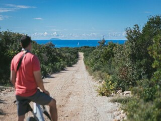 Maison de vacances Maslinica Environnement 22