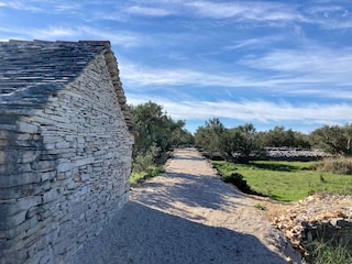 Holiday house Maslinica Environment 20