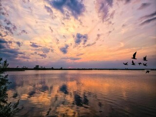 Apartment Albarella Environment 22