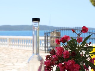 Apartment Brodarica  1