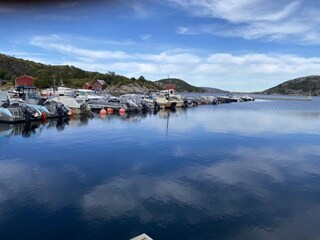 Apartment Lauvsnes  5