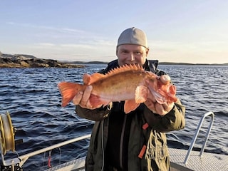 Apartment Lauvsnes  36