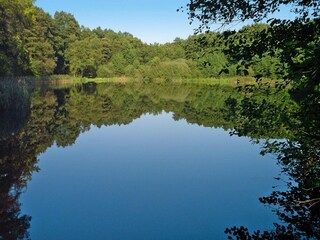 Bungaló Parchim Entorno 13