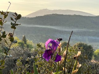 Casa de campo Saint-Romain-en-Viennois Entorno 38