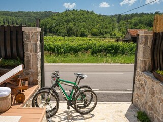 Villa Grubine Outdoor Recording 13
