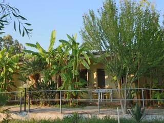 Apartment Ricadi Outdoor Recording 8