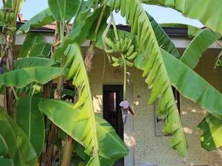 Apartment Ricadi Außenaufnahme 13