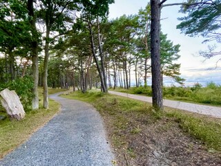 Rad- und Fußweg Baabe