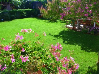 Appartamento Mali Maj Ambiente 21