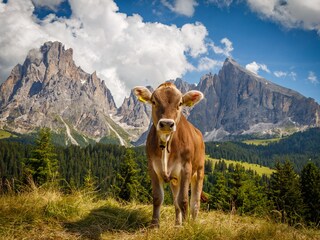 langkofelgruppe Seiser Alm