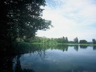 Roulotte Riccio Environnement 18