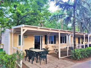 Rulot Riccio Grabación al aire libre 6