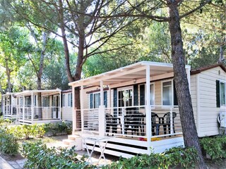 Roulotte Riccio Enregistrement extérieur 7