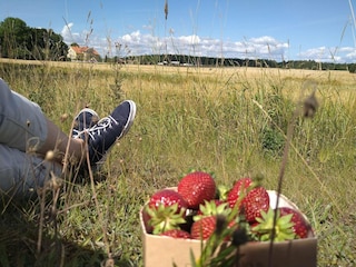 Ferienhaus Västerås Außenaufnahme 8