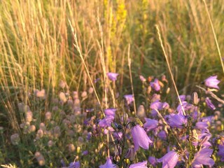 Holiday house Västerås Outdoor Recording 11