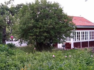 Ferienhaus Västerås Außenaufnahme 3
