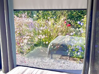 vom Bett aus in den Garten schauen