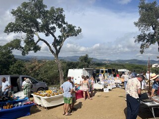 Antikmarkt " Jas de Robert" jeden Sonntag in Cogolin