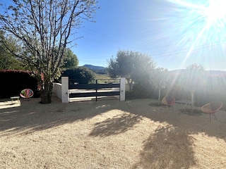 Der sonnige Tag beginnt auf der vorderen Terrasse .....