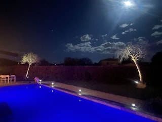 Nachtbeleuchtung per Solarspots unter den  Bäumen +Pool
