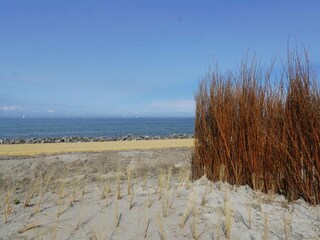 Holiday house Enkhuizen Outdoor Recording 14
