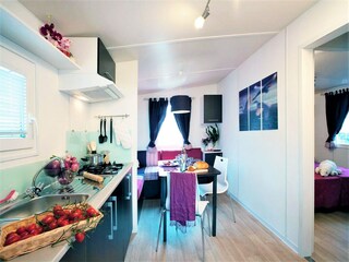 Roulotte Riccio Caratteristiche 22