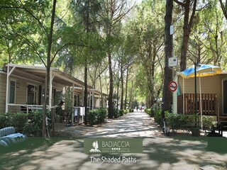 Rulot Riccio Entorno 25