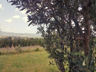 Roulotte Riccio Ambiente 28