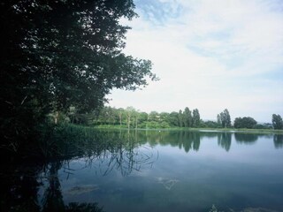 Roulotte Riccio Environnement 29