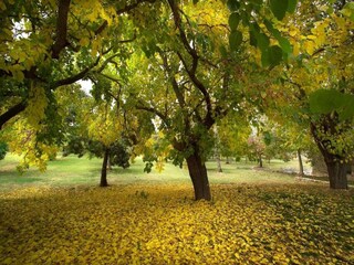 Wohnwagen Riccio Umgebung 33