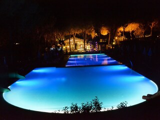 Roulotte Riccio Ambiente 35