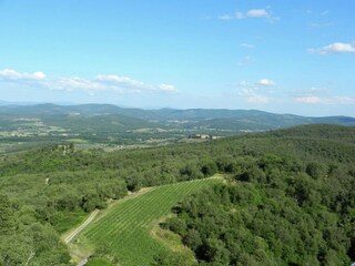 Appartement Bucine Omgeving 27