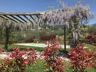 Bauernhof Montecarlo Außenaufnahme 5