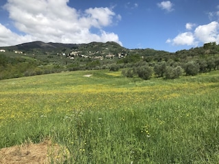 Bauernhof Montecarlo Umgebung 58