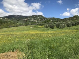 Type de propriété : Ferme Montecarlo Environnement 57